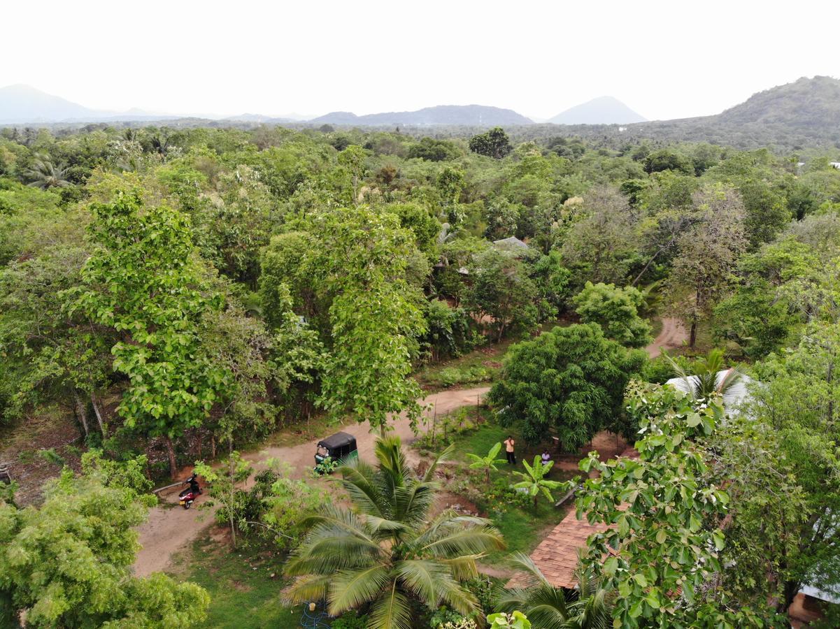 Araliya Self Cooking Resort Dambulla Exterior foto